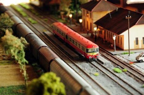 Lumea trenuleţelor: Un club de pasionaţi organizează, în premieră, o expoziţie cu reproduceri ale unor trasee de căi ferate complet funcţionale
